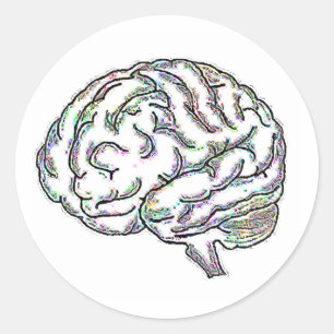 Zany Brainy Classic Round Sticker