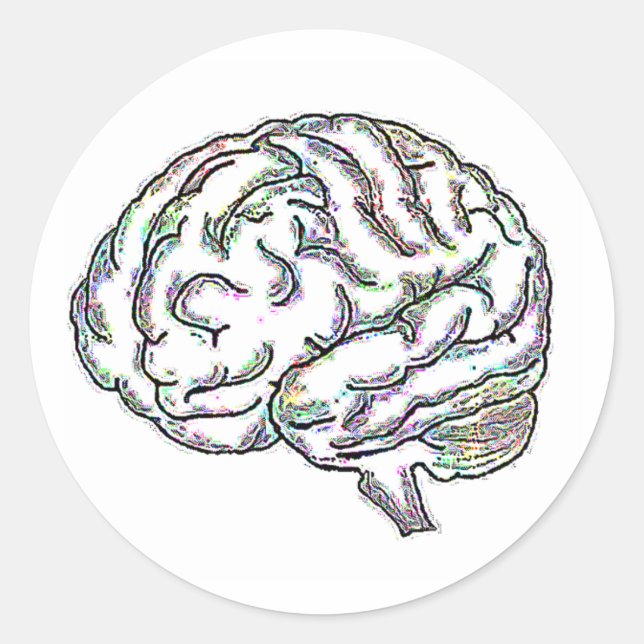 Zany Brainy Classic Round Sticker (Front)