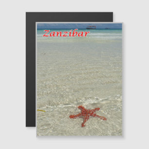 Zanzibar - Sea View - Starfish -