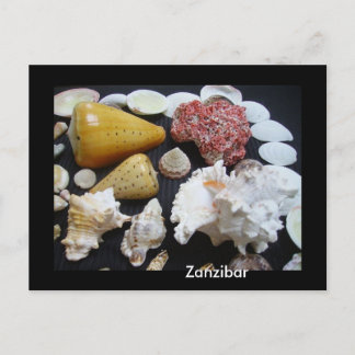 Zanzibar shells postcard