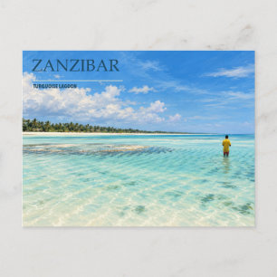 Zanzibar Turquoise Lagoon Palm-Lined Coast Postcard
