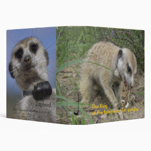 Zaphod 11th birthday binder