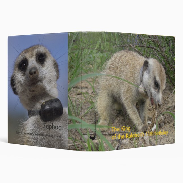 Zaphod 11th birthday binder (Background)