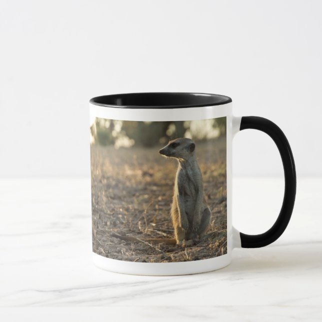 Zaphod 12th Birthday Mug (Right)