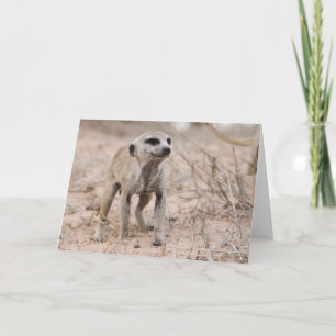 Zaphod's 12th birthday card 2