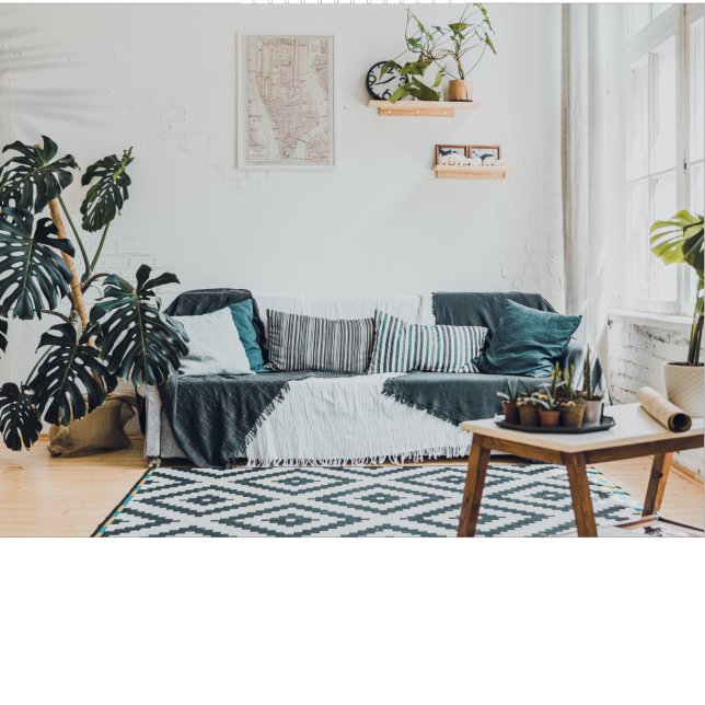 Zazzle Decals  Canvas Print (Creator Uploaded)