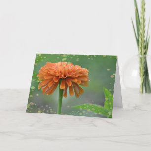 Zazzled Zinnia Note Card