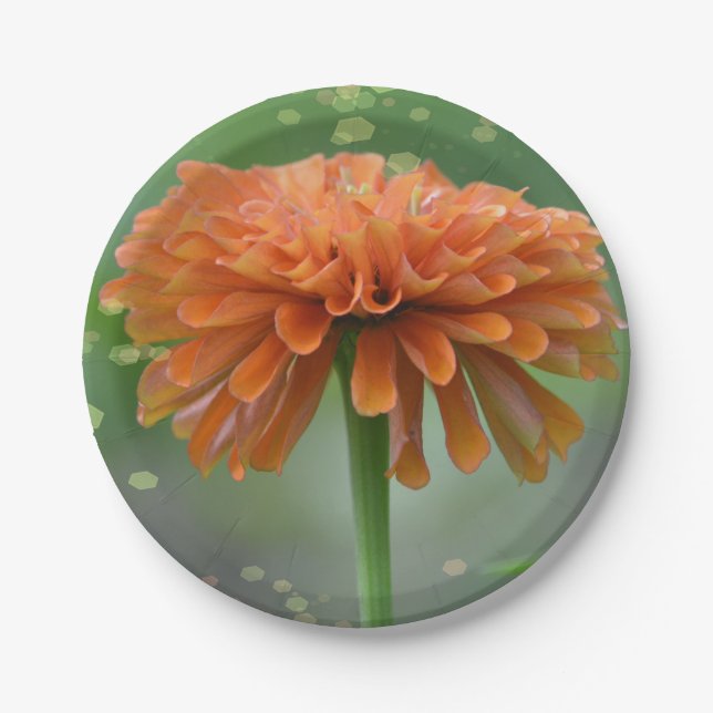 Zazzled Zinnia Paper Plate (Front)