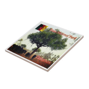 zCM007 WASA N.P. Camerron, Africa, Tile