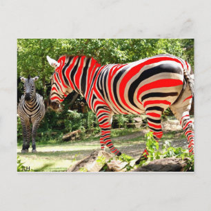 Zebhuh? by JLH Postcard