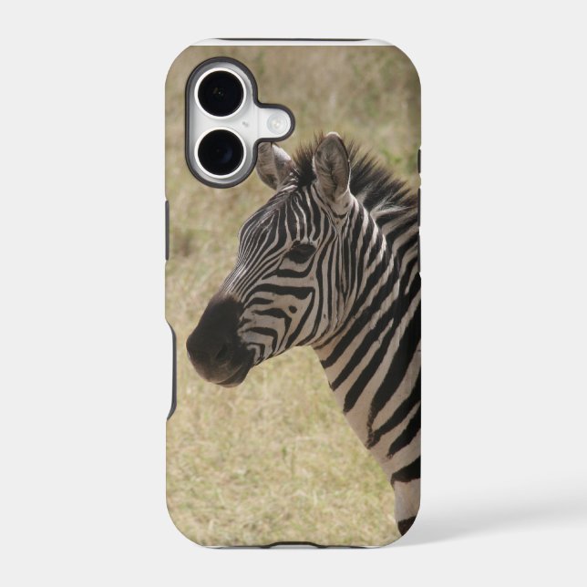zebra (Back)