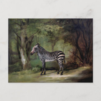 Zebra (1763) painting postcard