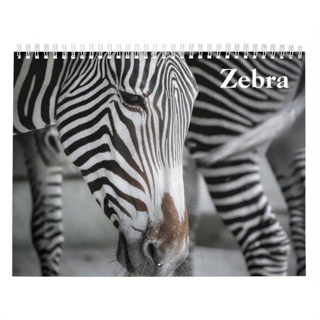 Zebra 2026 calendar (Cover)
