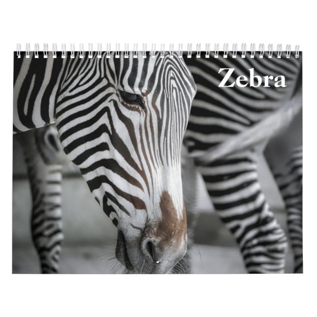 Zebra 2026 calendar (Cover)