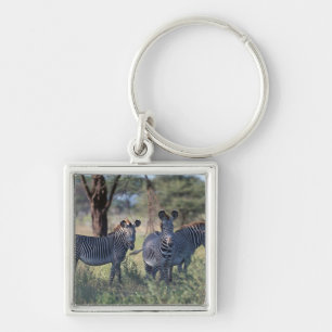Zebra 2 keychain