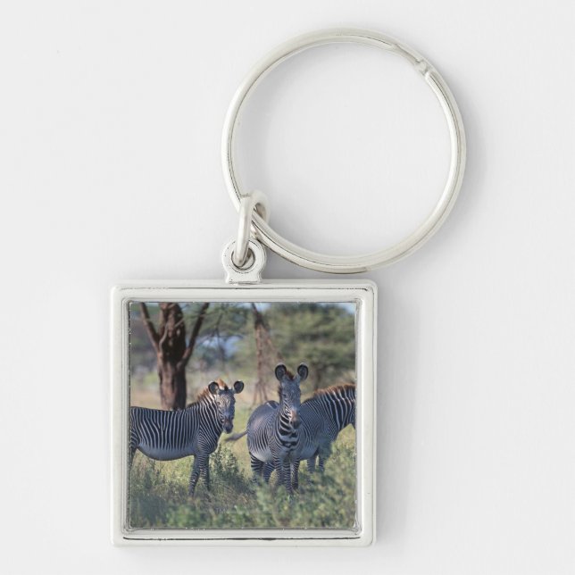 Zebra 2 keychain (Front)