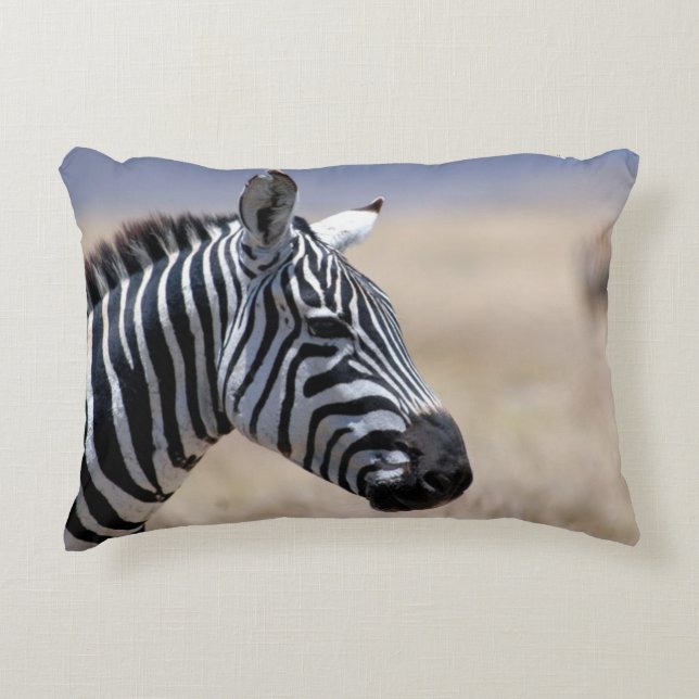 Zebra Accent Pillow (Front)