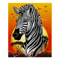 Zebra African Savanna Wild Animal