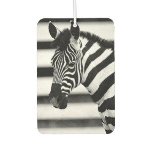 Zebra Air Freshener