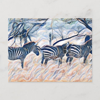 Zebra animal mammal postcard