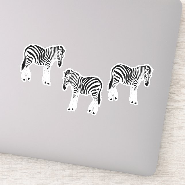 Zebra animal pattern on (Detail)