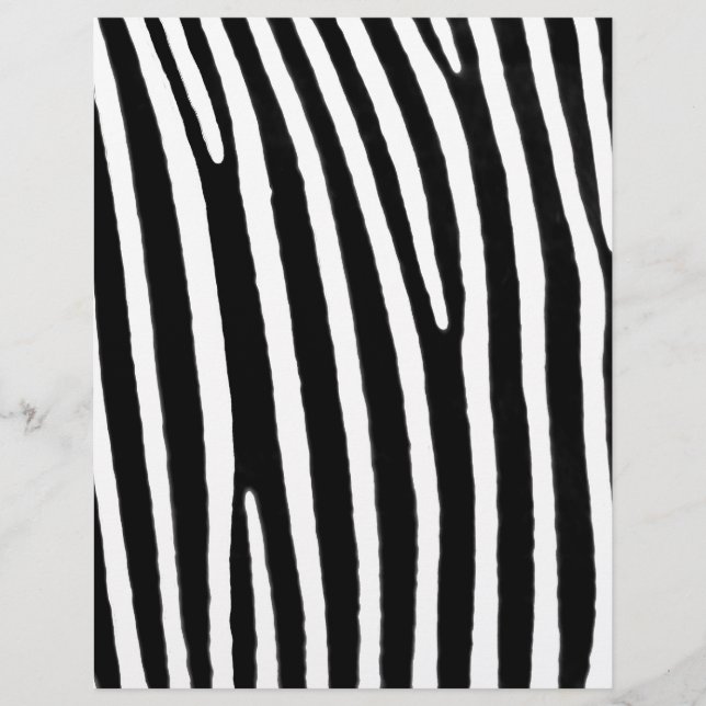 Zebra animal print (Front)