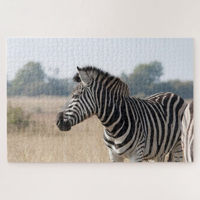 Zebra at the safari jigsaw puzzle (Horizontal)