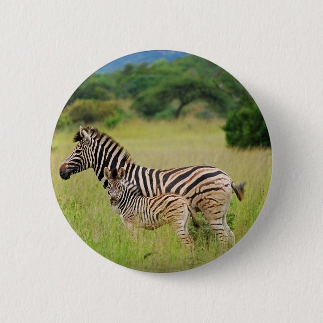 Zebra baby and mom 2 inch round button (Front)