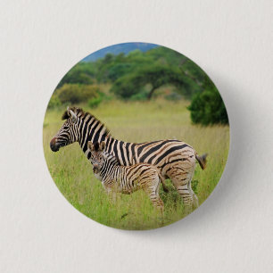 Zebra baby and mom 2 inch round button