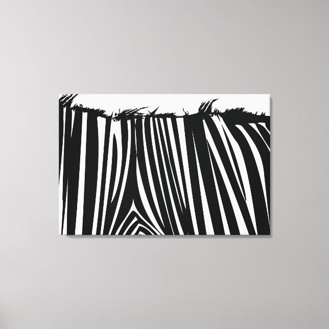 Zebra Back Black & White Wrapped Canvas Print (Front)