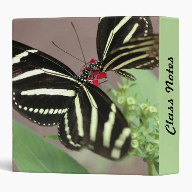 Zebra Binder (Back/Spine)