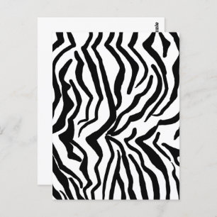 Zebra Black And White Hide Fur Pattern Postcard
