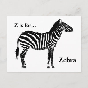 Zebra - Black and White Postcard