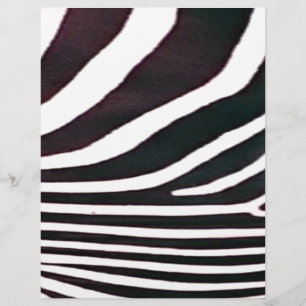 Zebra Black and White Stripes Print