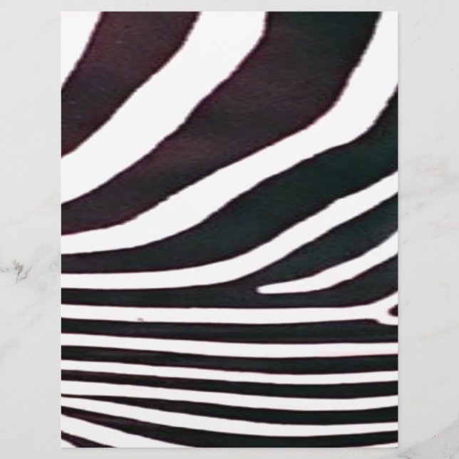 Zebra Black and White Stripes Print (Front)