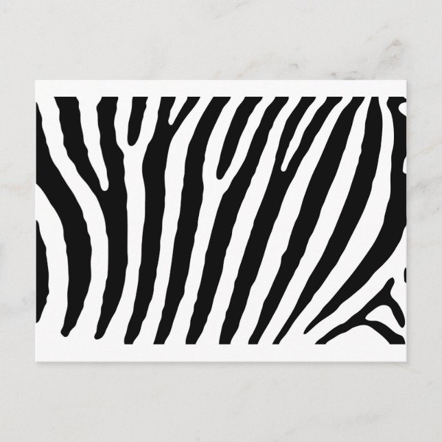 Zebra Black & White Lines Postcard (Front)
