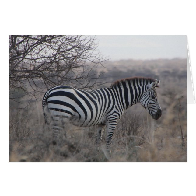 Zebra blank card (Front Horizontal)