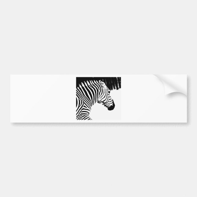 Zebra Bumper Sticker (Front)