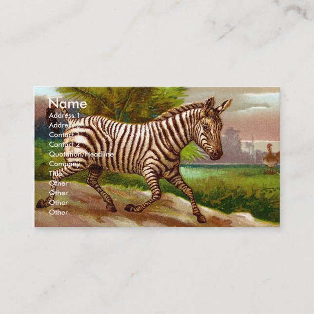Zebra Business Card (Front)