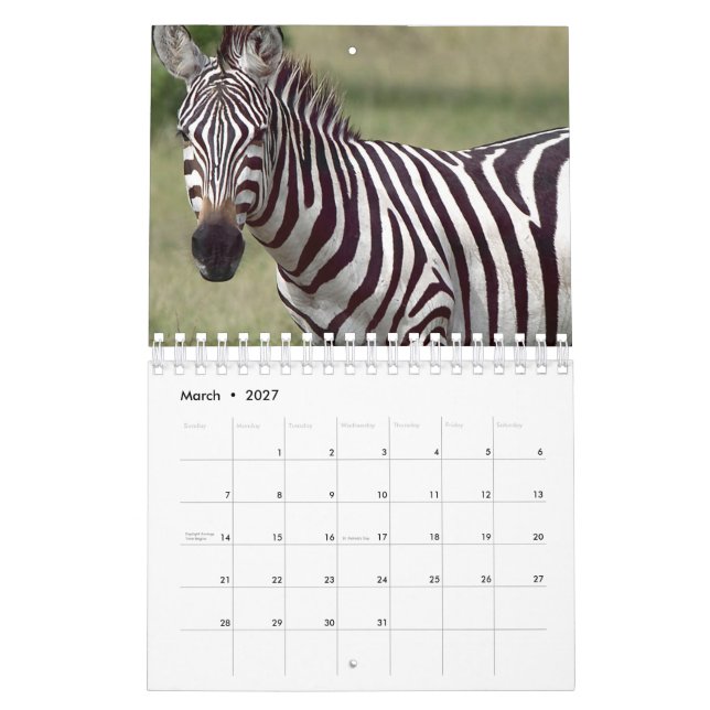 Zebra Calendar (Mar 2027)