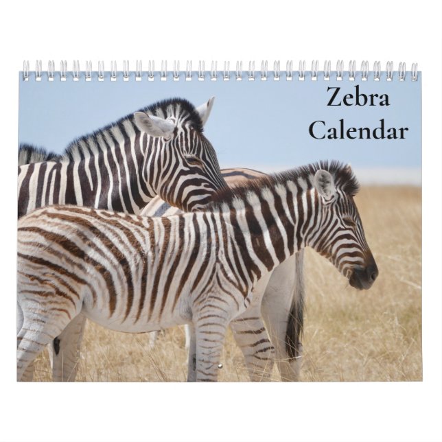 Zebra Calendar 2024 (Cover)
