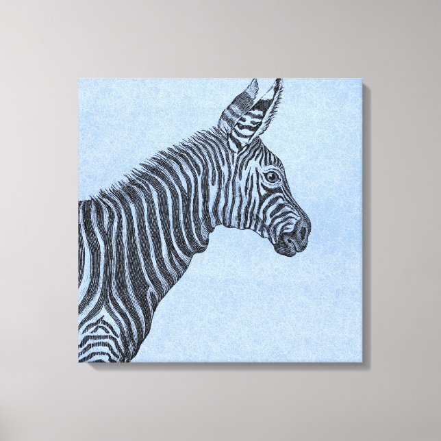 Zebra Canvas Print (Front)