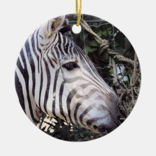 Zebra Ceramic Ornament
