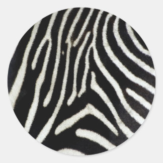 Zebra Classic Round Sticker