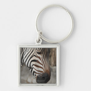 Zebra, close-up keychain