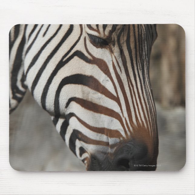 Zebra, close-up mouse pad (Front)