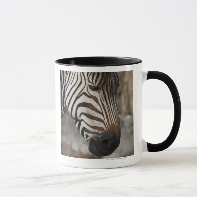 Zebra, close-up mug (Right)