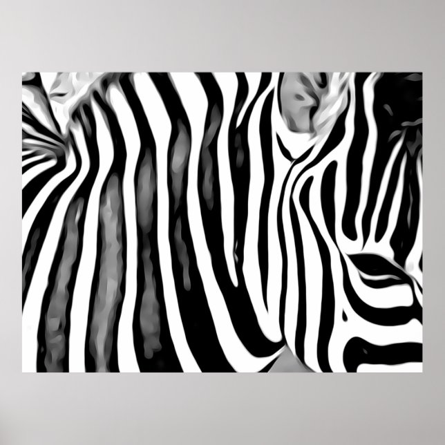 Zebra close up    poster (Front)