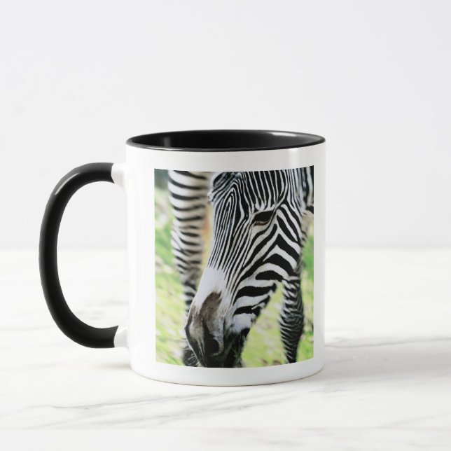 Zebra, close-up, selective focus mug (Left)