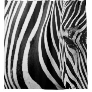 ZEBRA CLOSE-UP VIEW